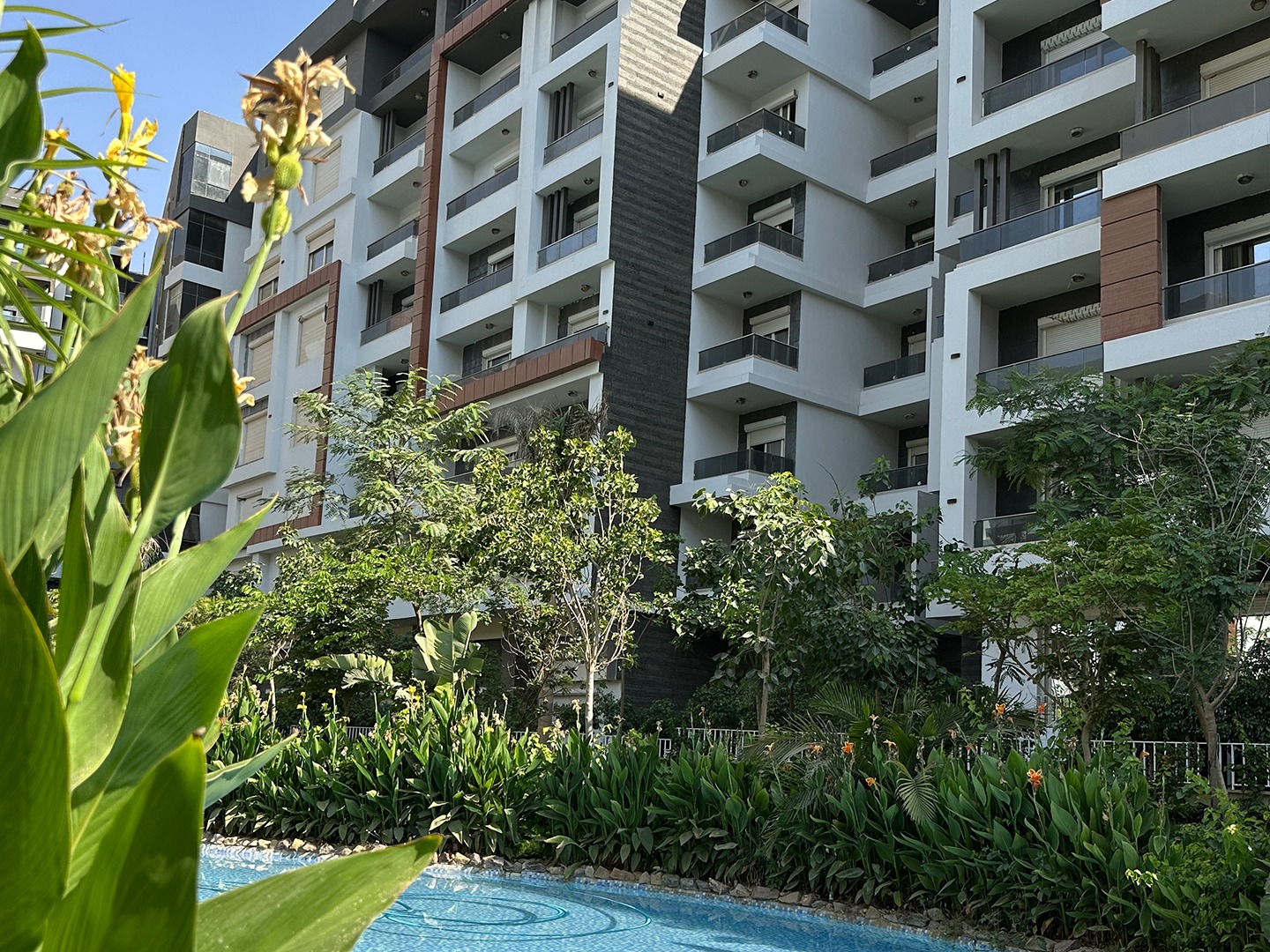 Pyramids Developments